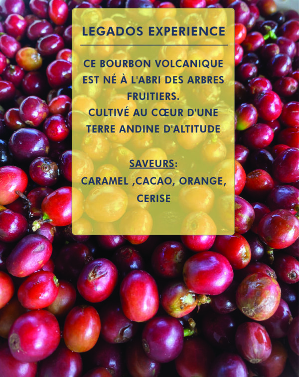 Legados Expérience - Image 2